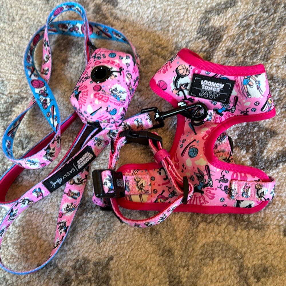 sassy woof  Harness and Leash Set
